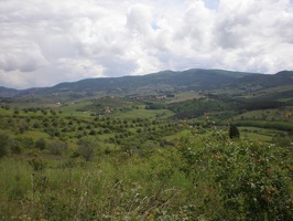 Tuscany104